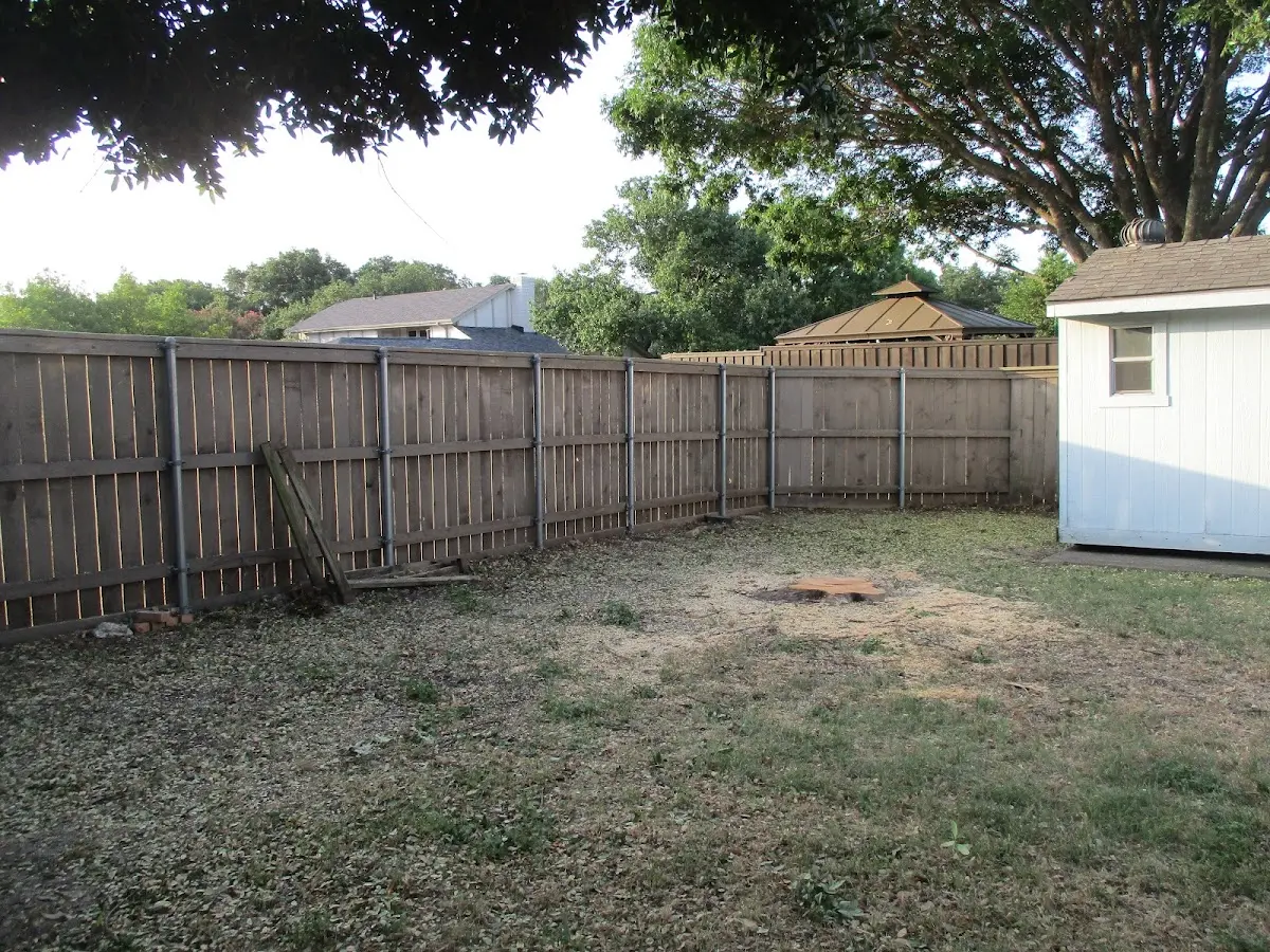 Cleared yard after professional tree removal in San Perlita